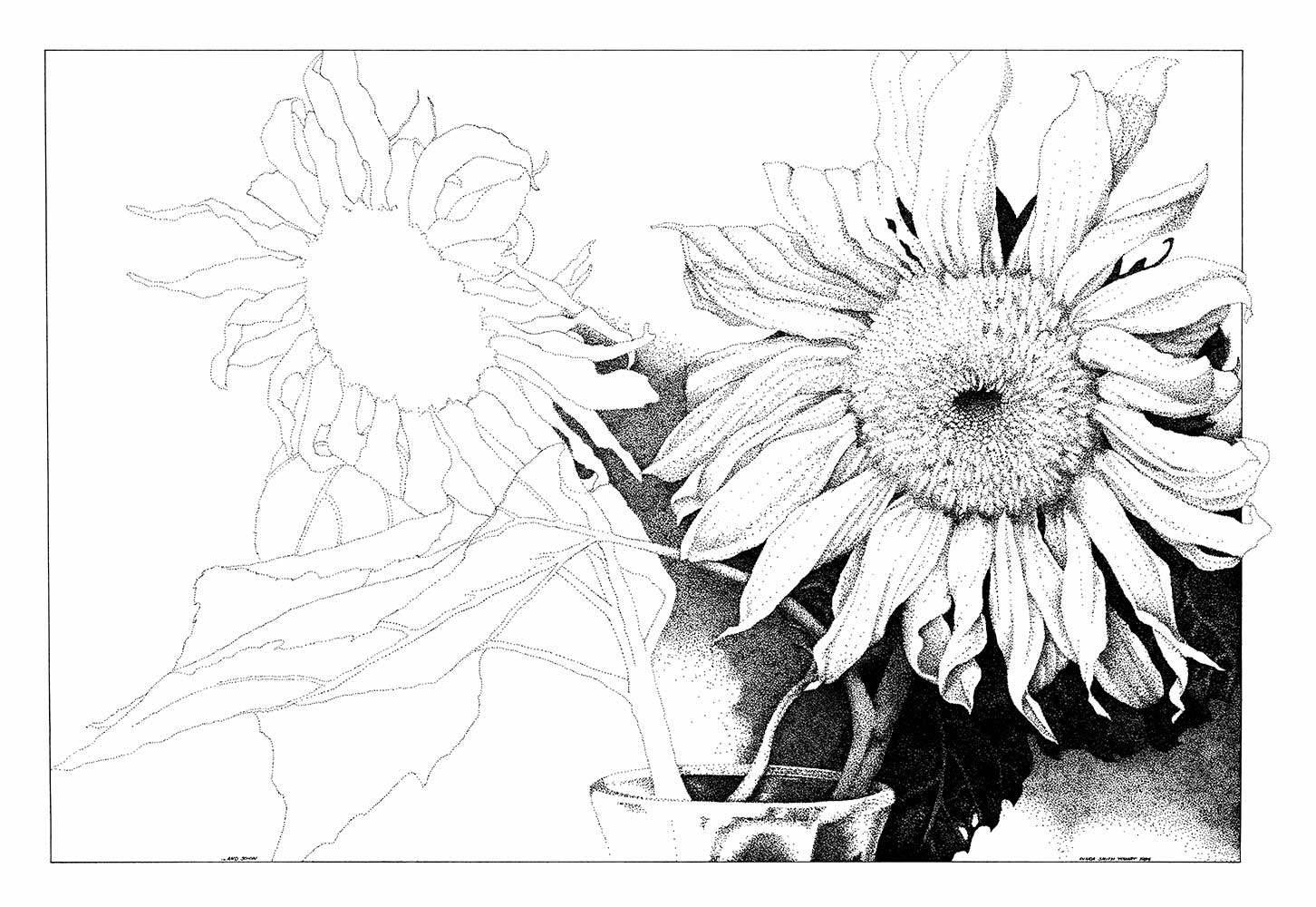 ink; stipple; drawing