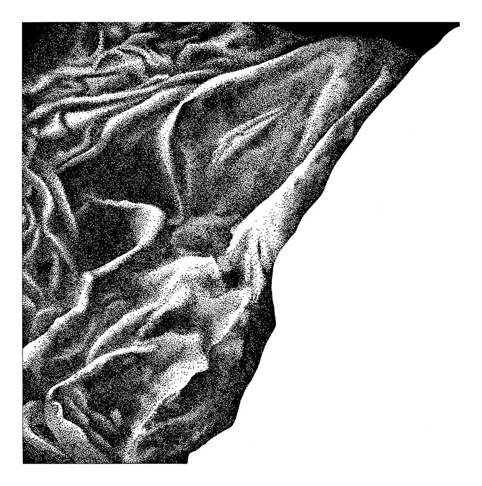 Stipple drawing, ink on BFK