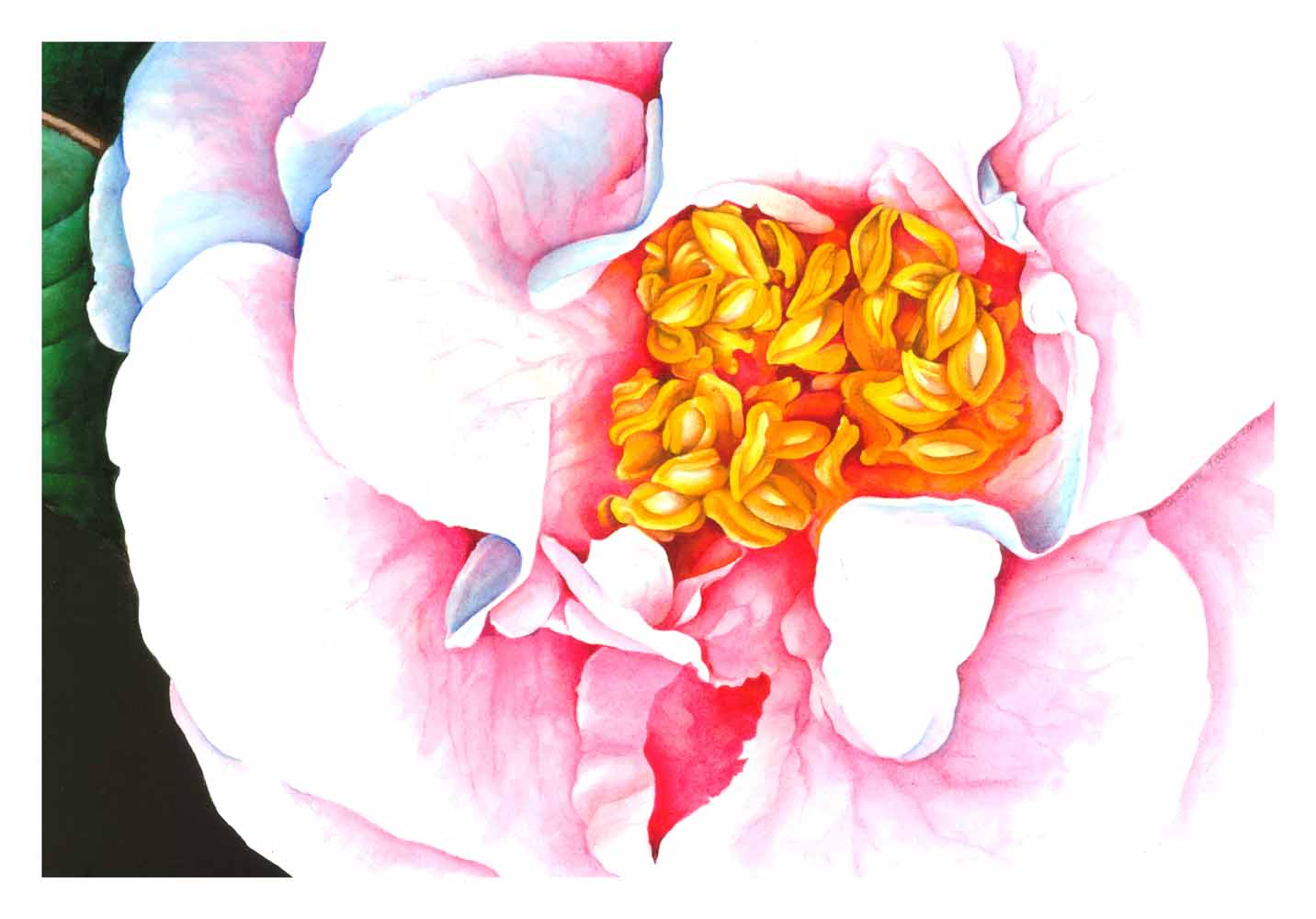 Acrylic painting on Arches