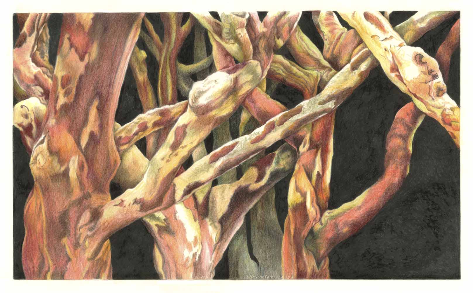 Color pencil drawing on Stonehenge