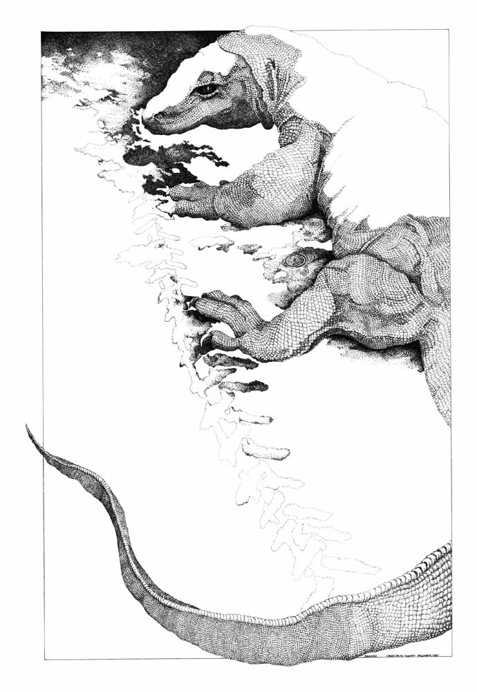 Stipple ink drawing on BFK