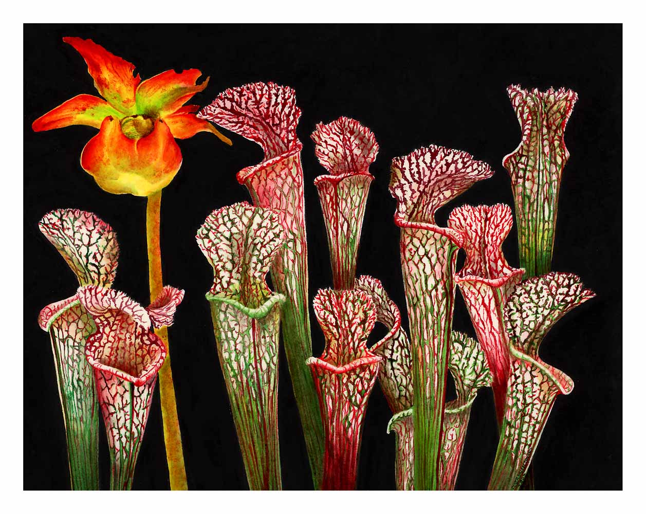 Acrylic painting on Arches